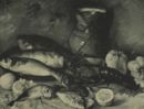 Natura morta -     - Emporium - n 446 - Febbraio 1932